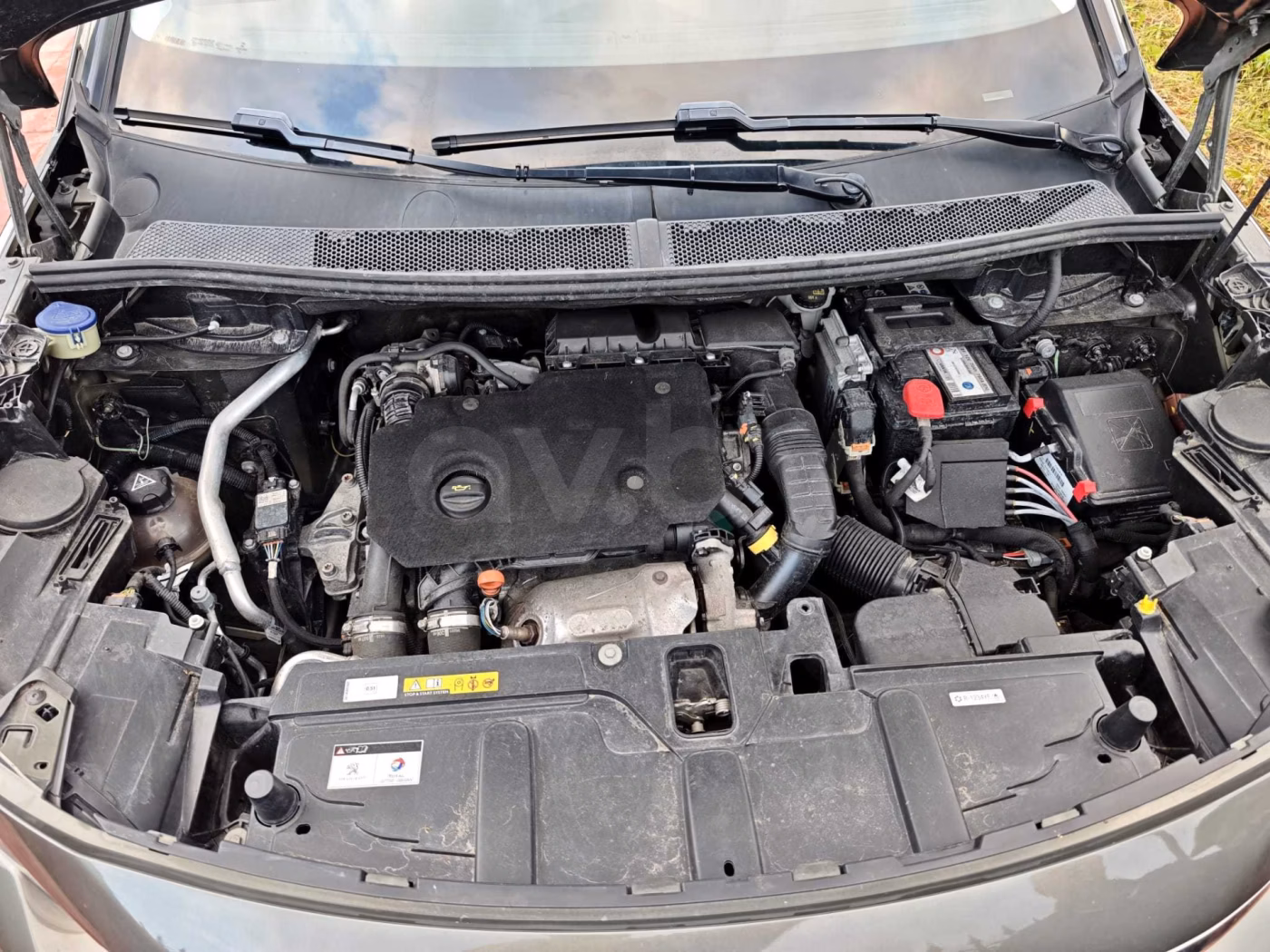Peugeot 5008 фото 9