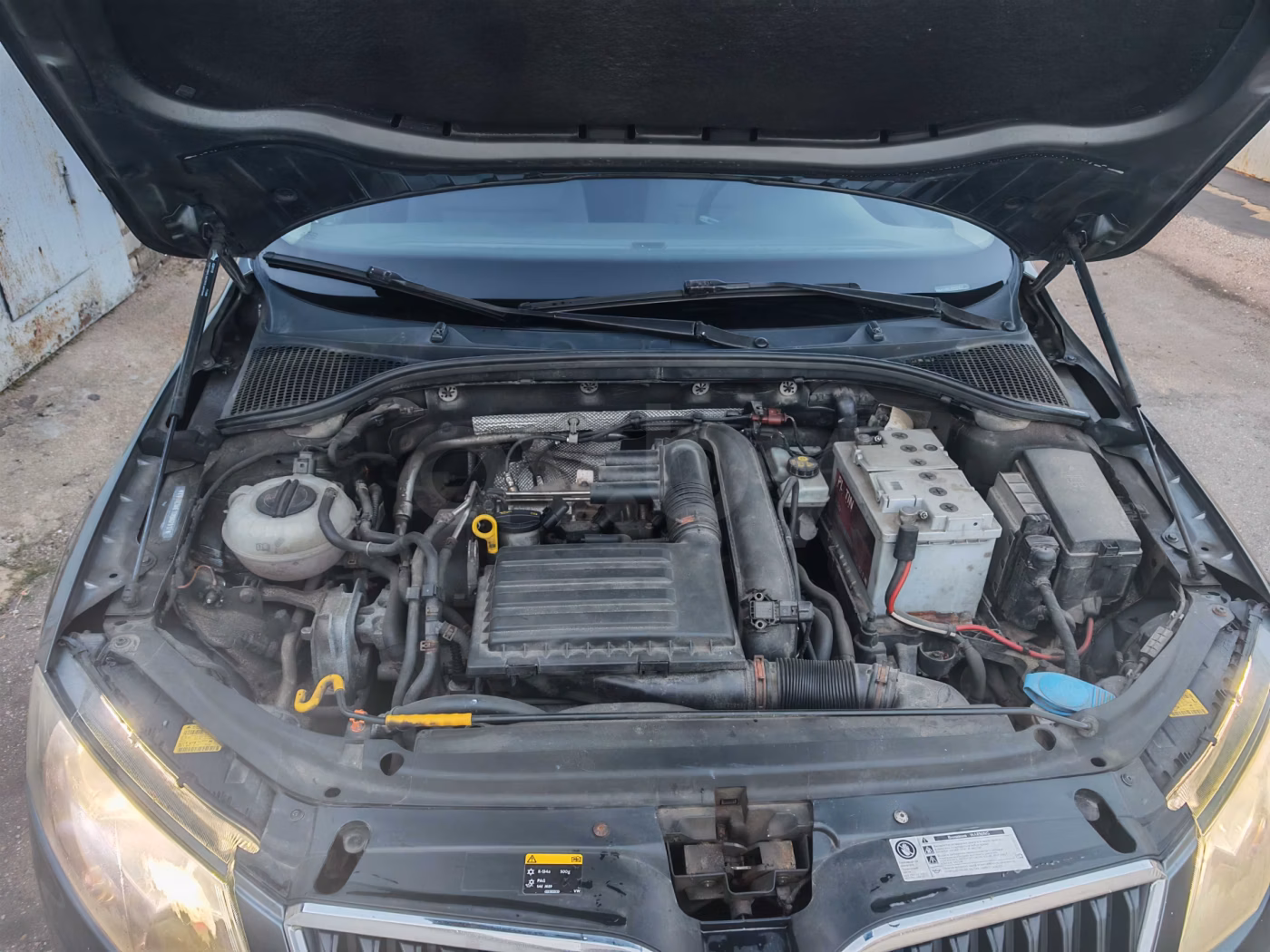 Skoda Octavia фото 9