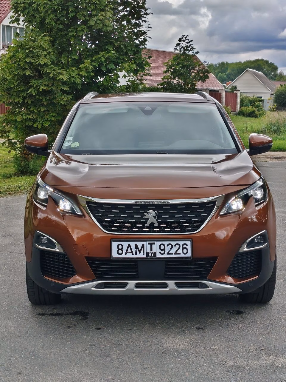 Peugeot 3008 фото 3