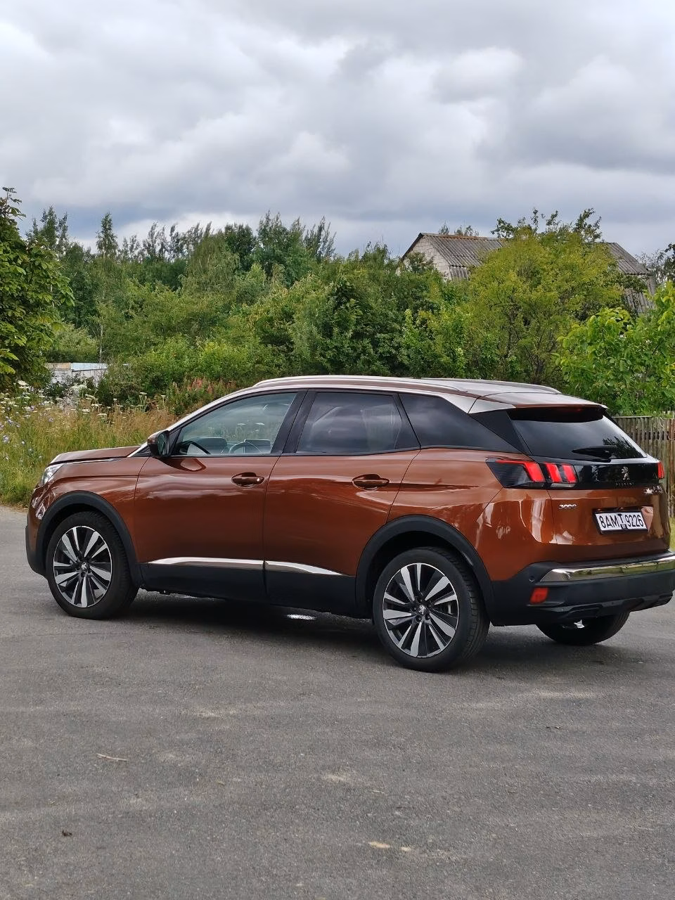 Peugeot 3008 фото 8