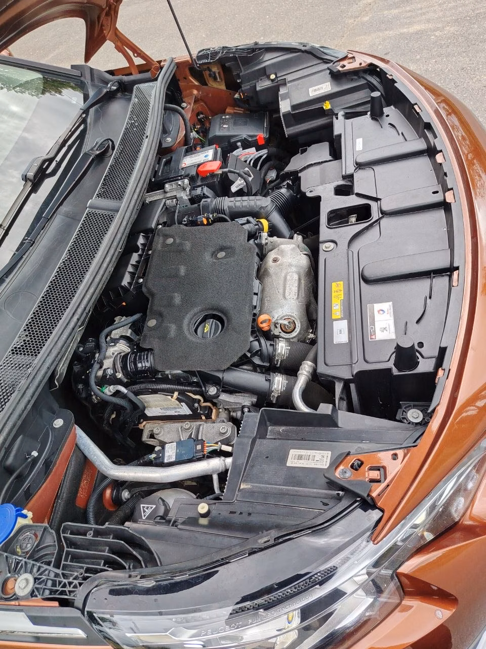 Peugeot 3008 фото 20