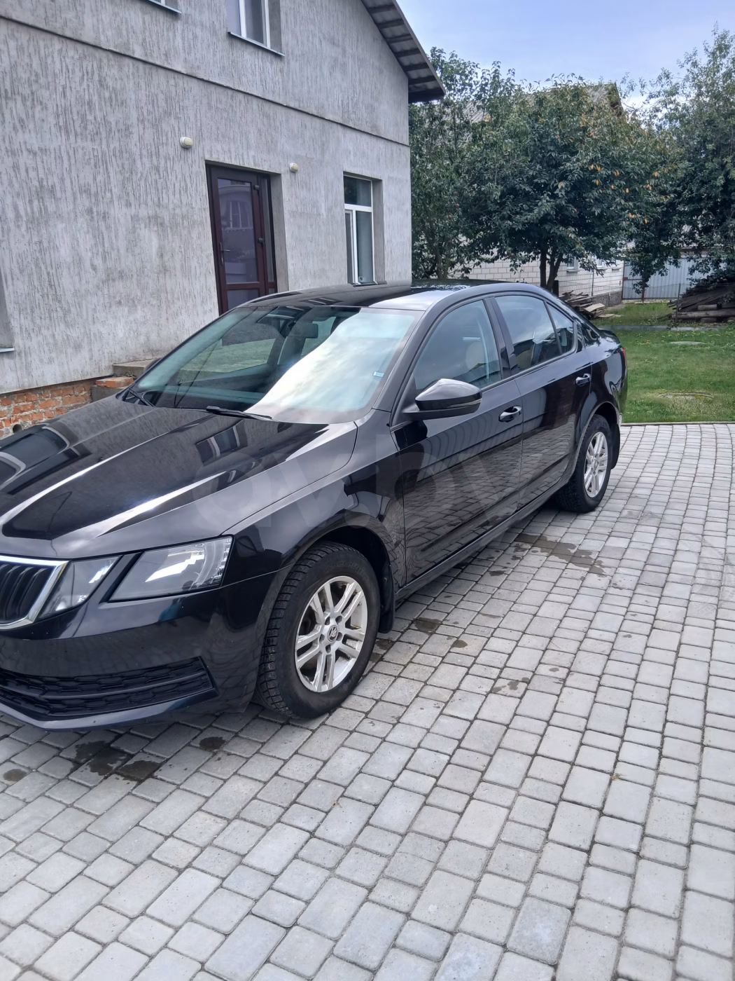 Skoda Octavia фото 4