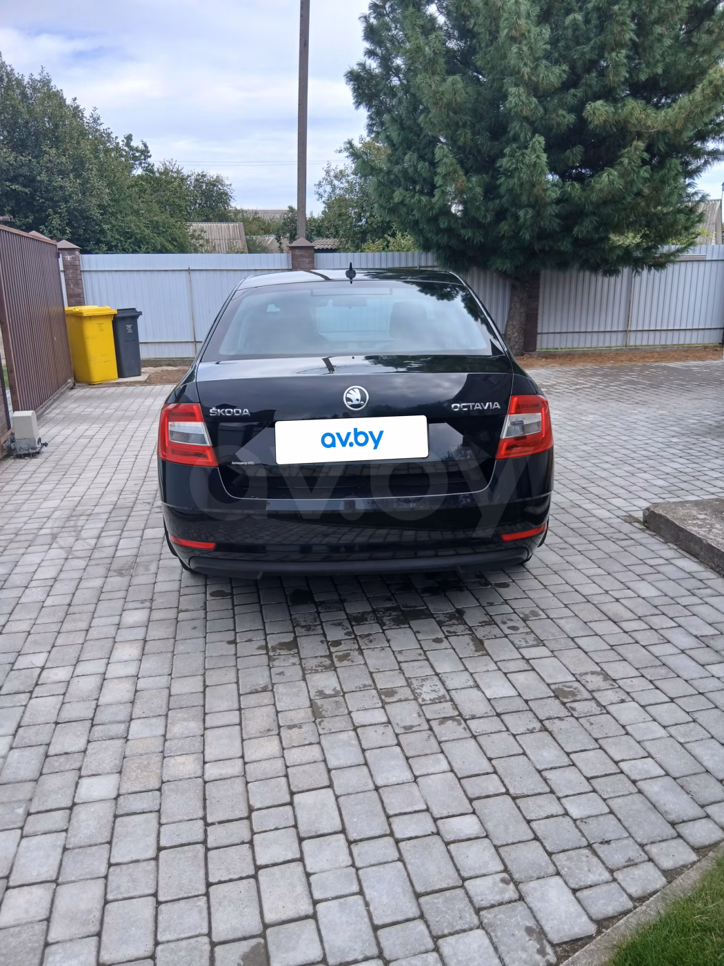 Skoda Octavia фото 5