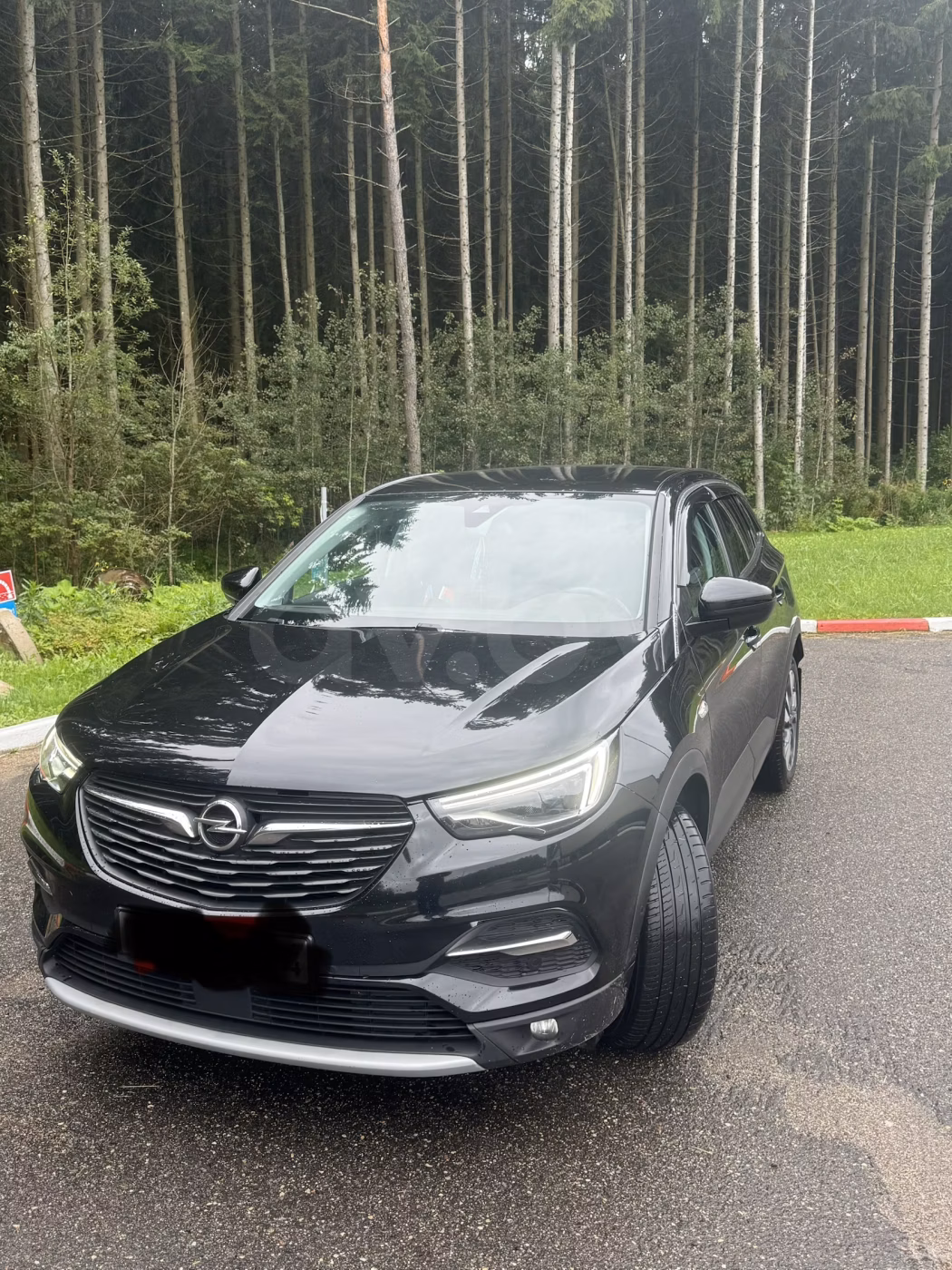 Opel Grandland X фото 2