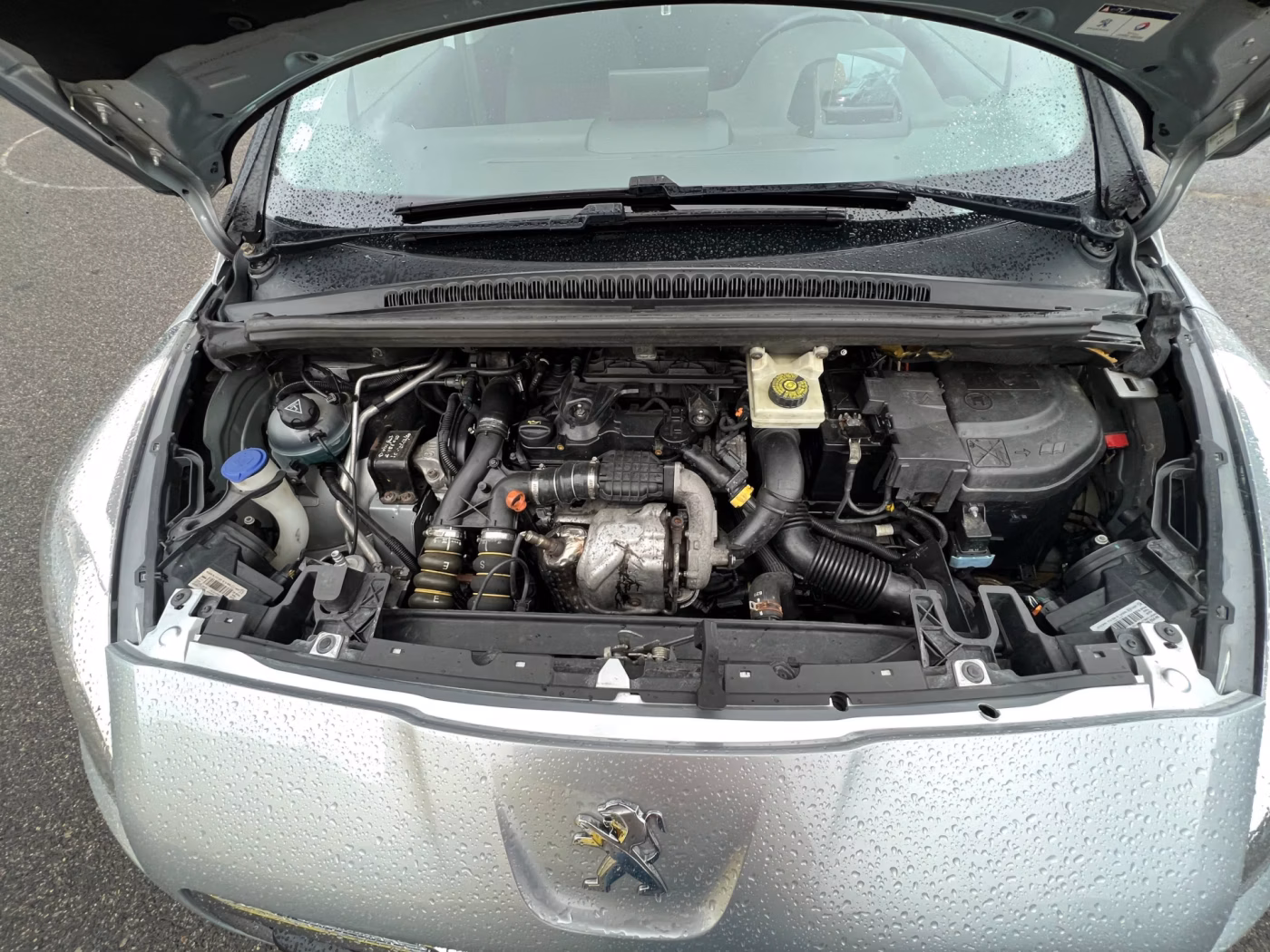 Peugeot 5008 фото 24