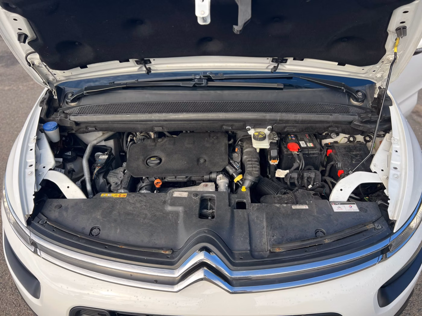 Citroen C4 Spacetourer фото 21