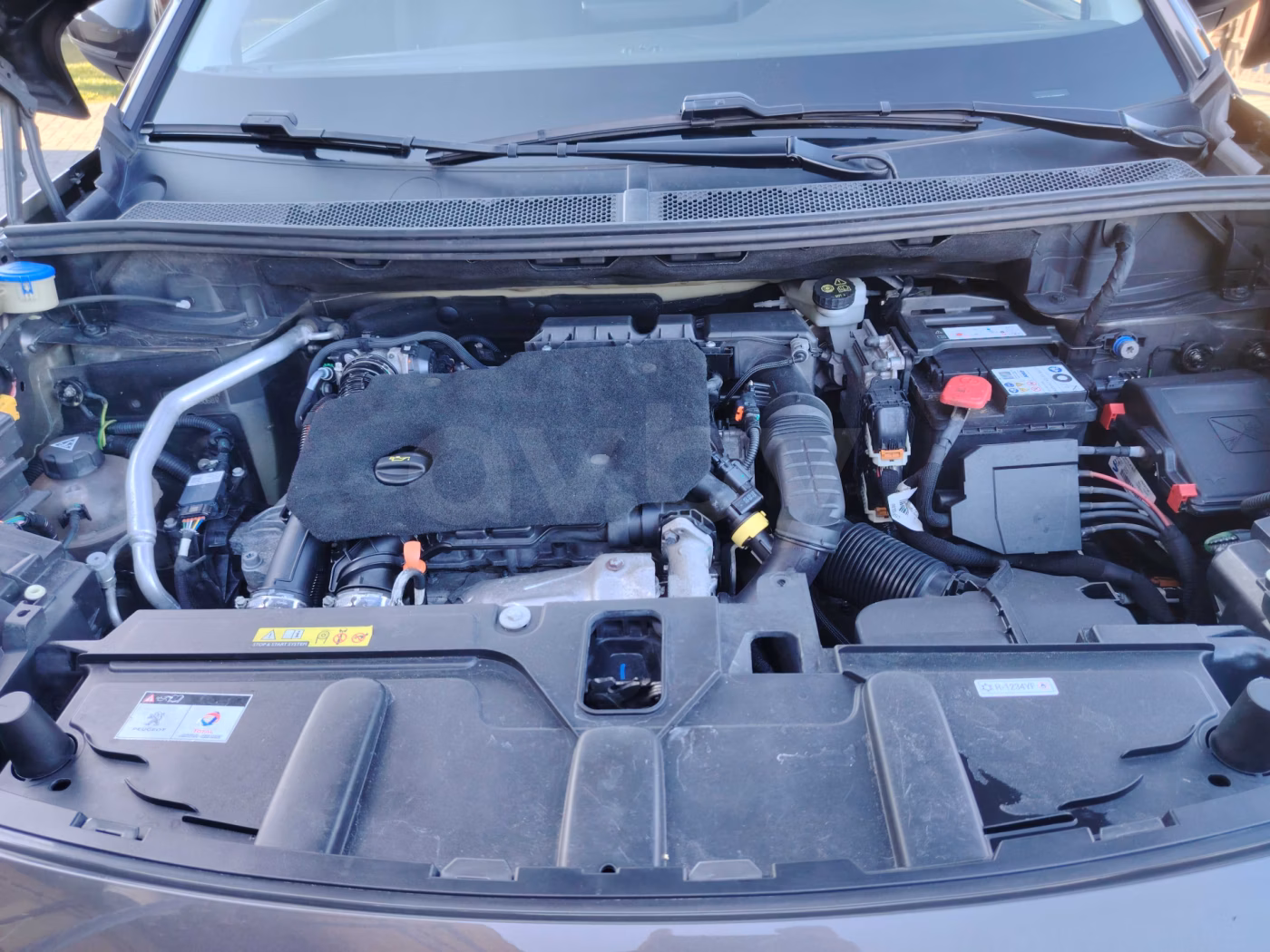 Peugeot 5008 фото 18