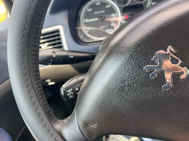 Peugeot 307 фото 18