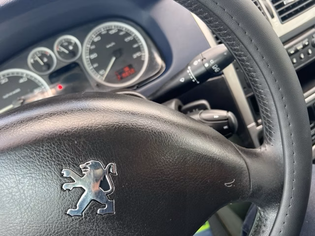 Peugeot 307 фото 19