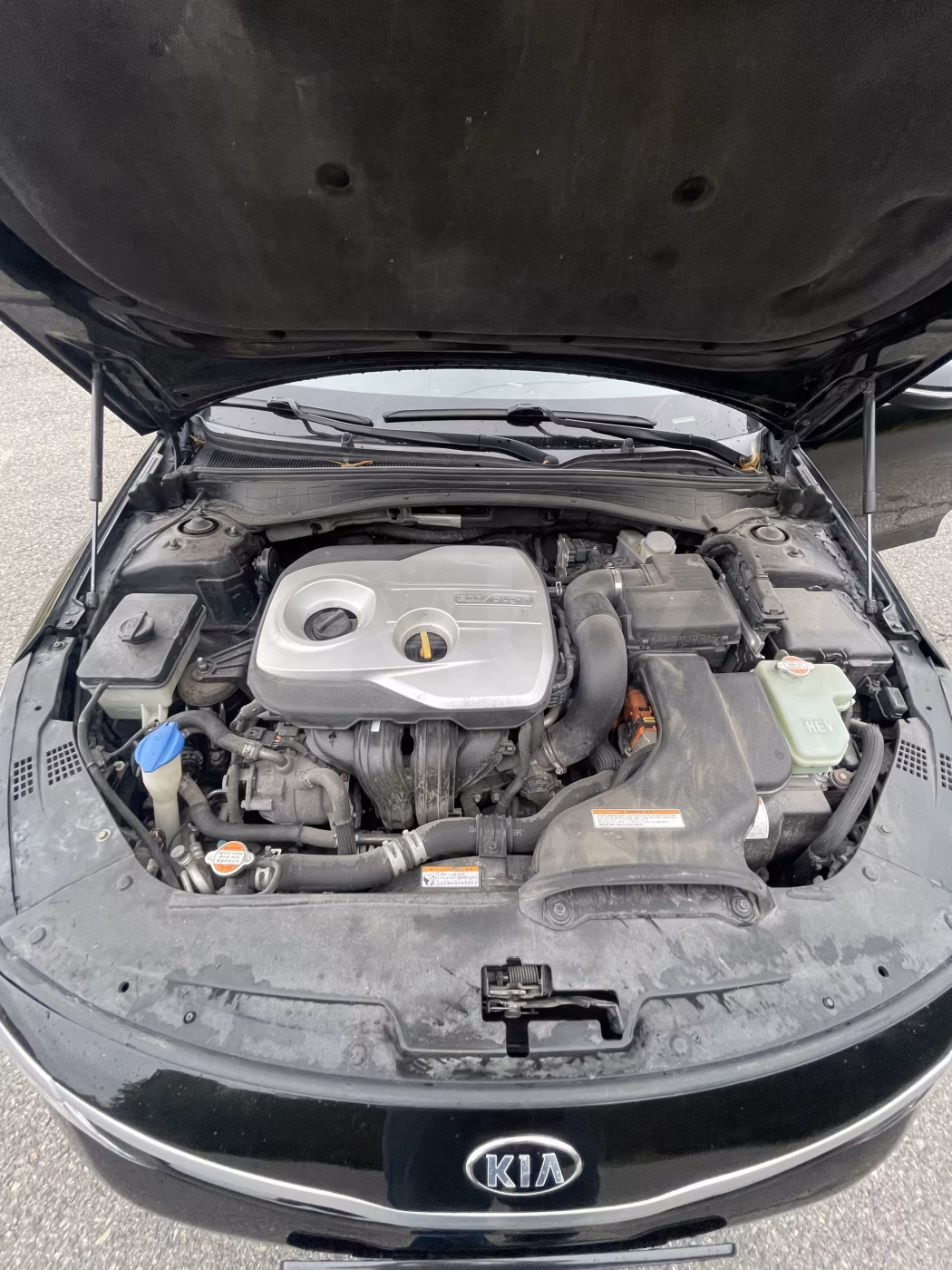 Kia K5 фото 26