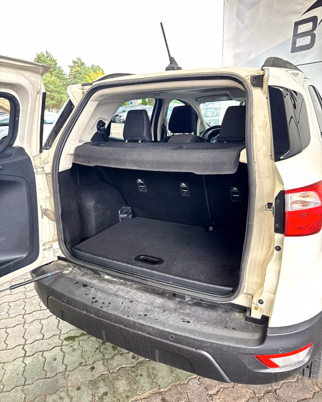 Ford EcoSport фото 14