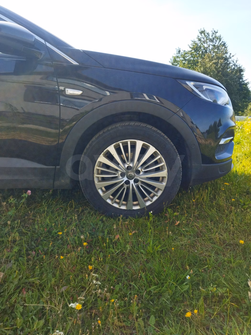 Opel Grandland X фото 7