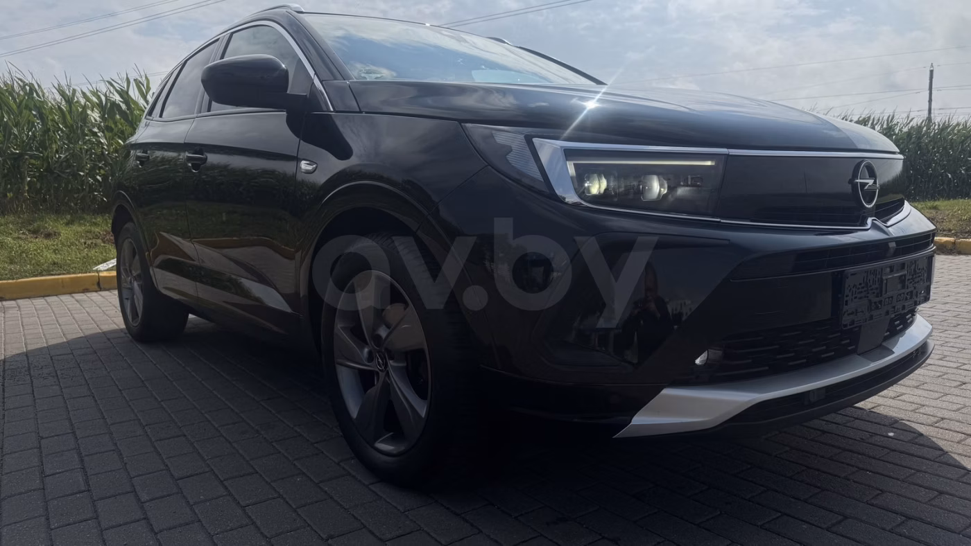 Opel Grandland X фото 15