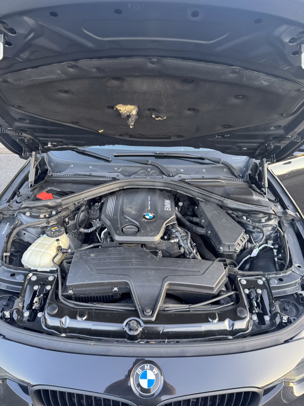 BMW 3 серия фото 21