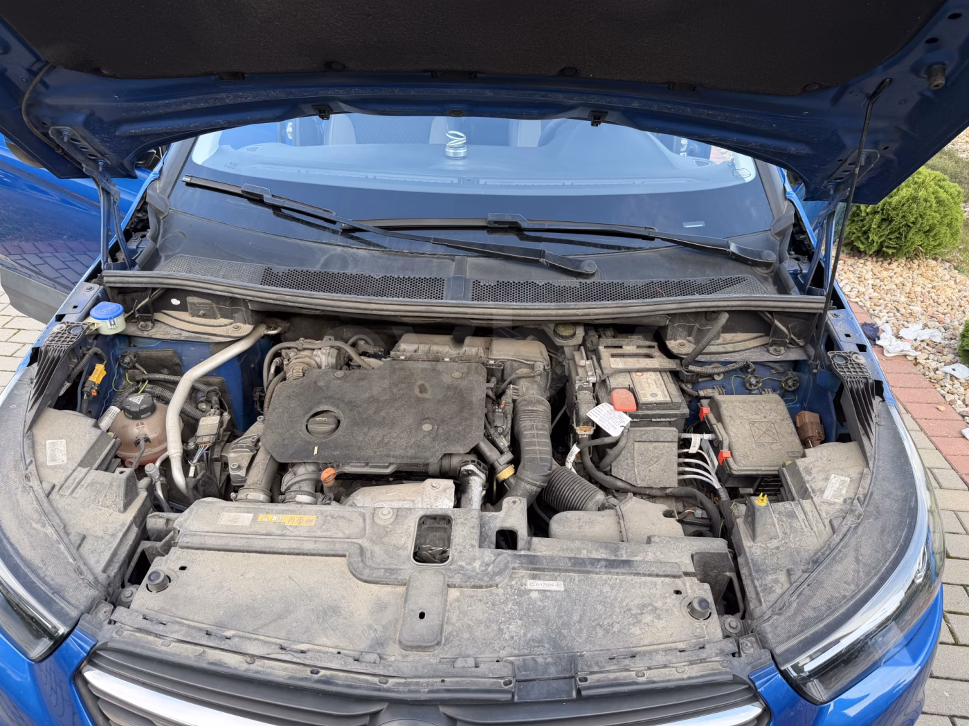 Opel Grandland X фото 13