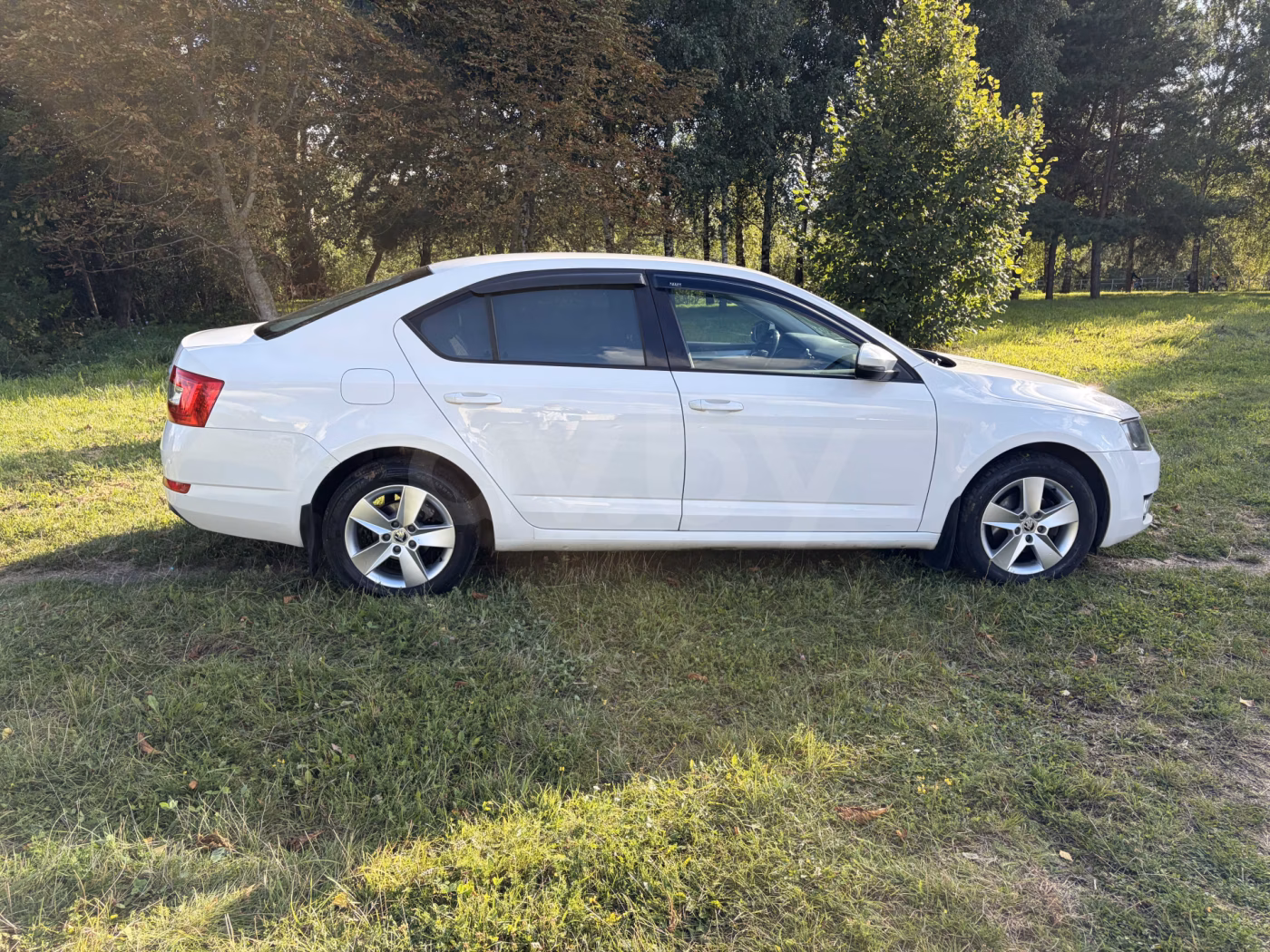 Skoda Octavia фото 5