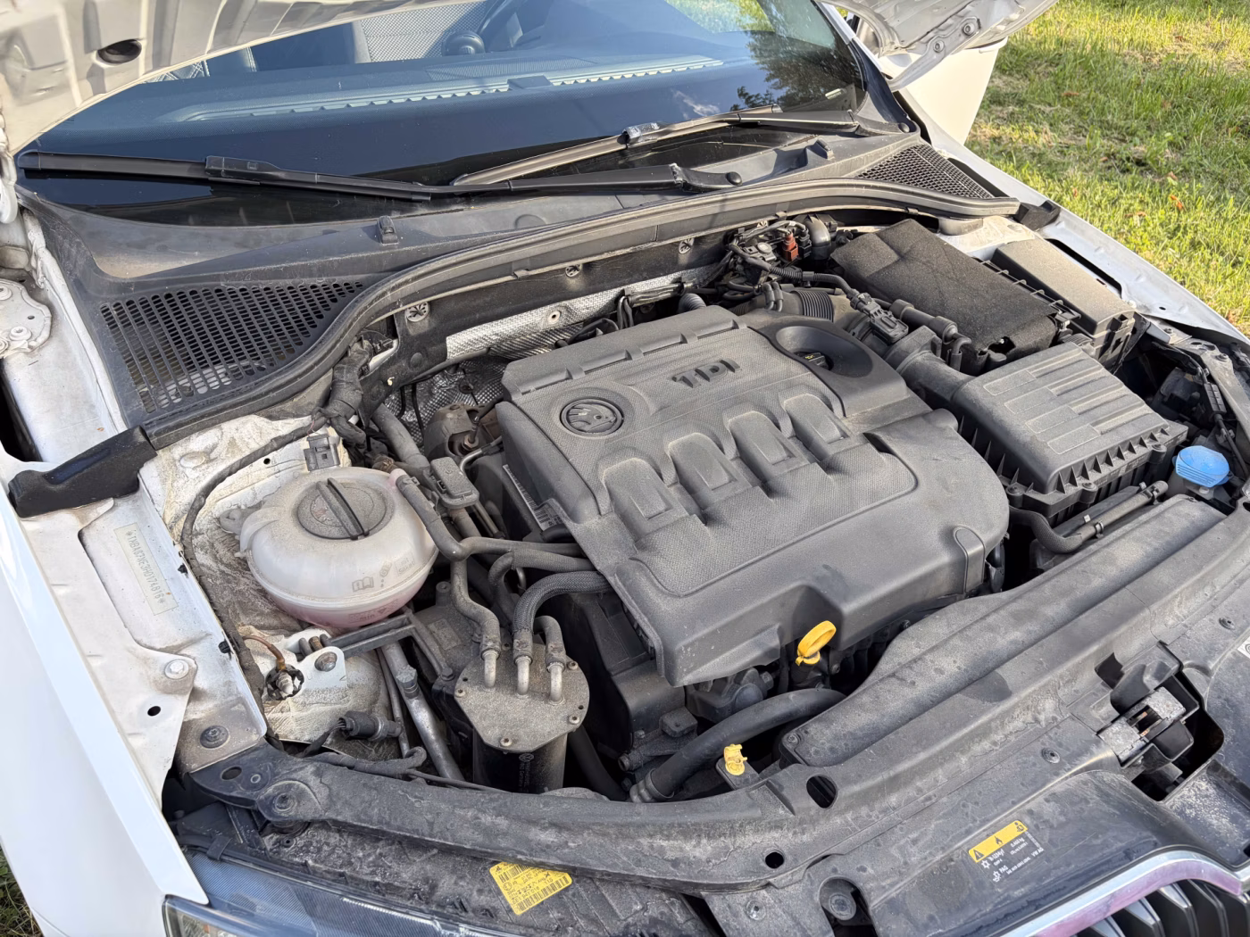 Skoda Octavia фото 22
