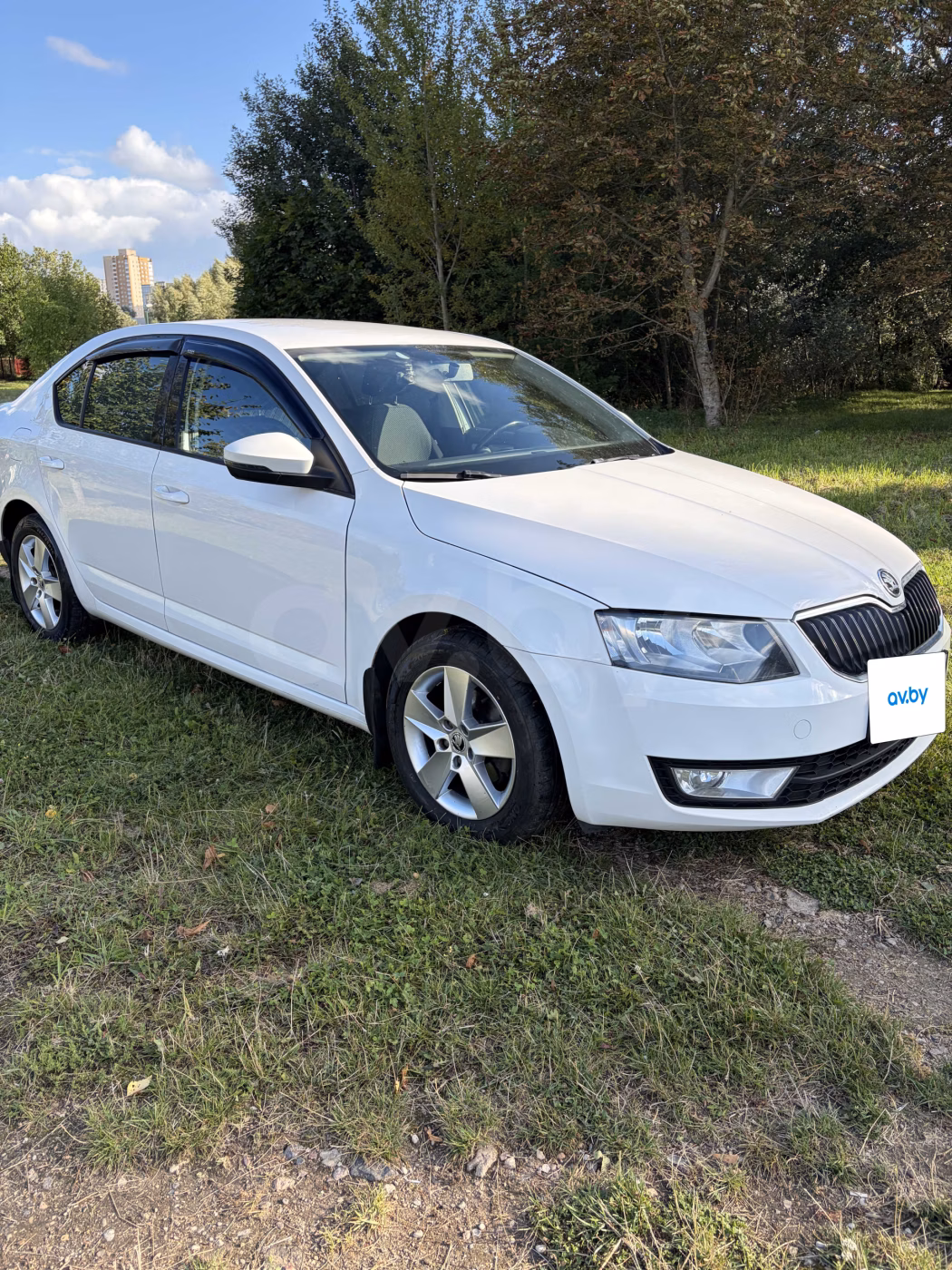 Skoda Octavia фото 4