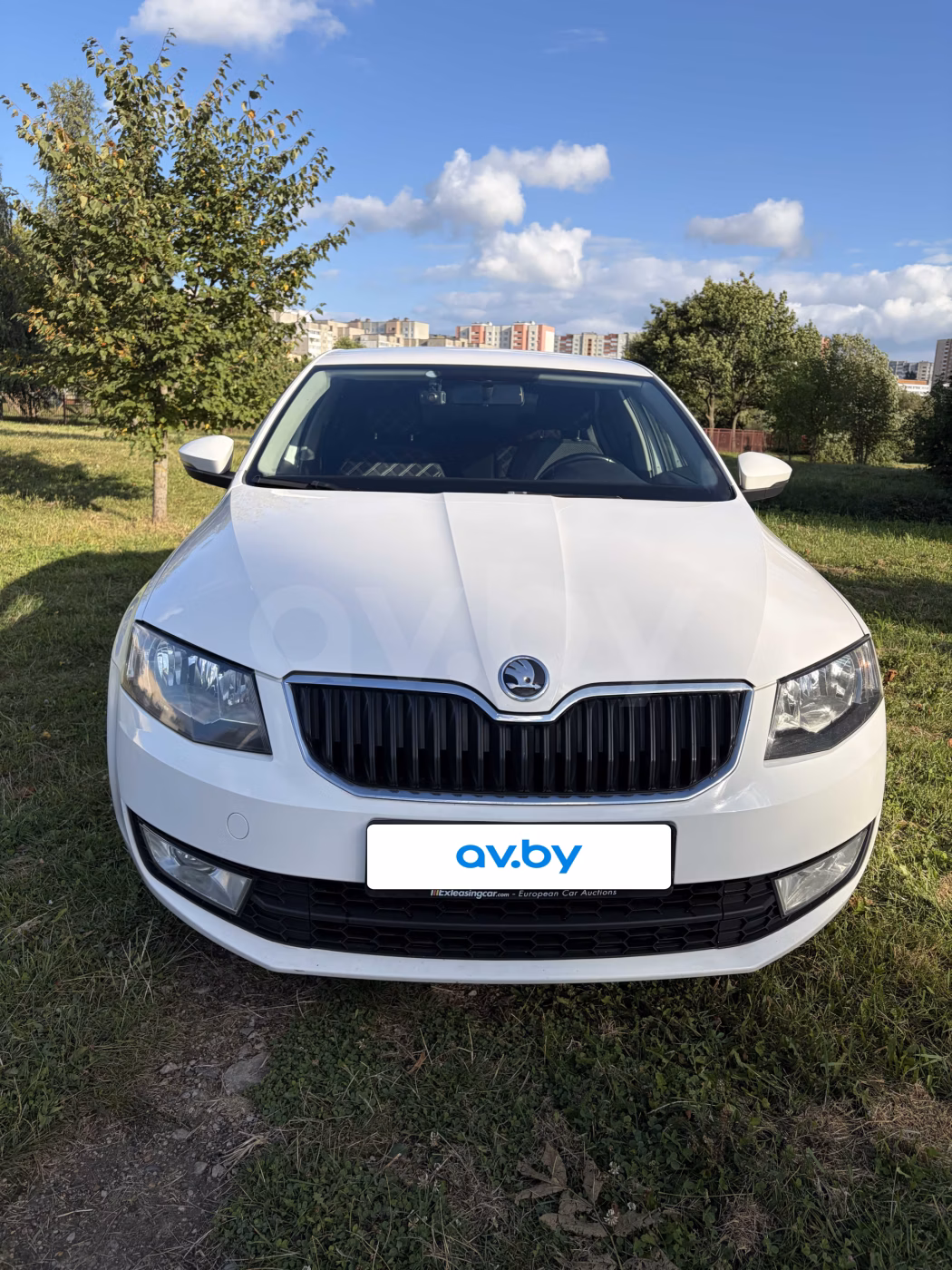 Skoda Octavia фото 2