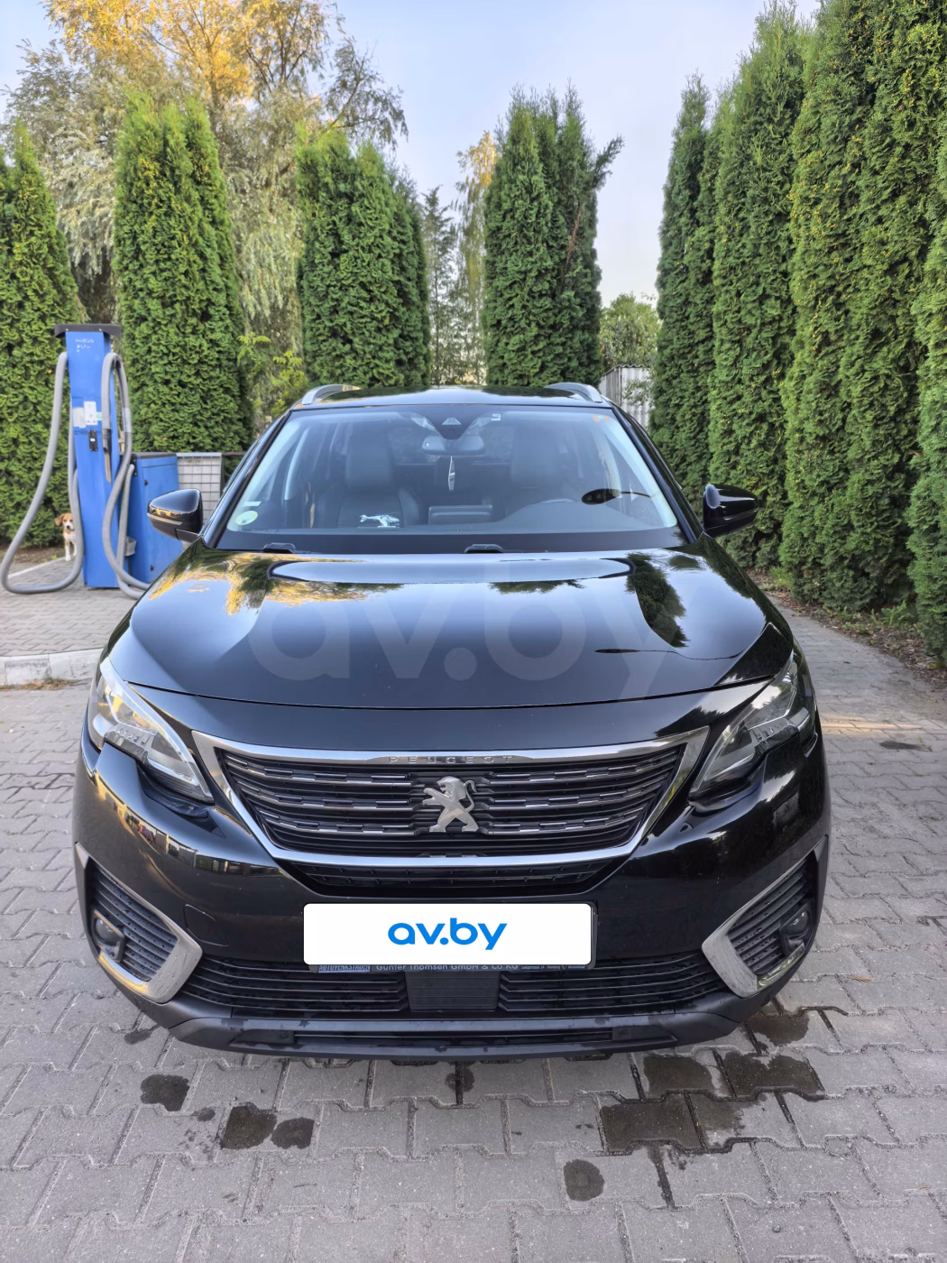 Peugeot 5008 фото 9
