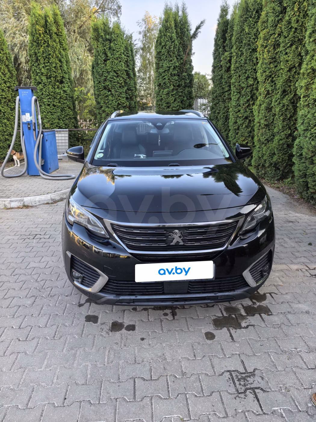 Peugeot 5008 фото 7