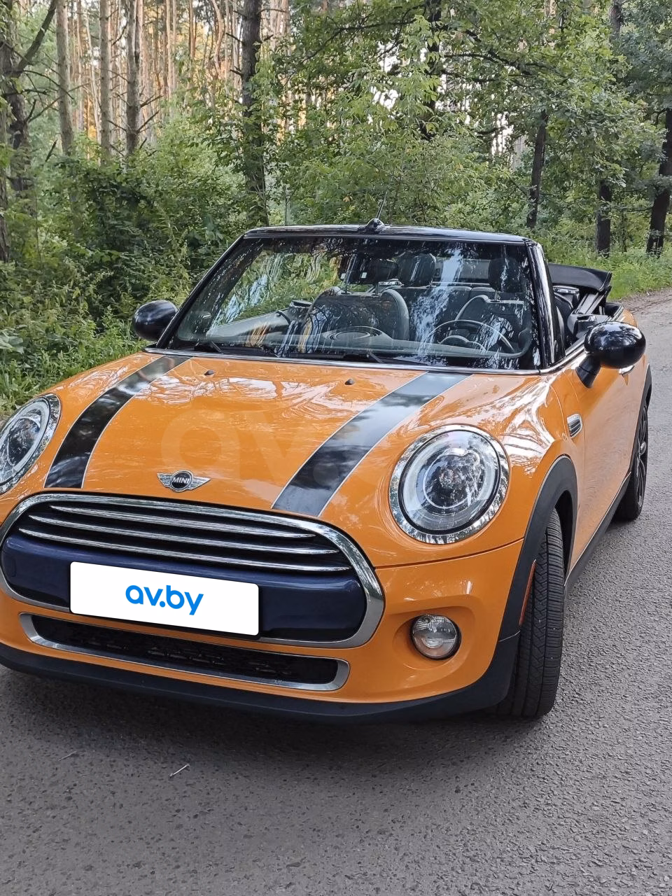 MINI Cabrio фото 10