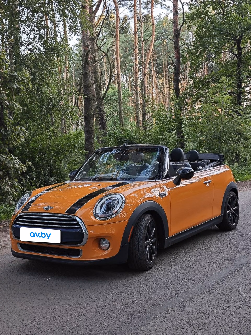 MINI Cabrio фото 8