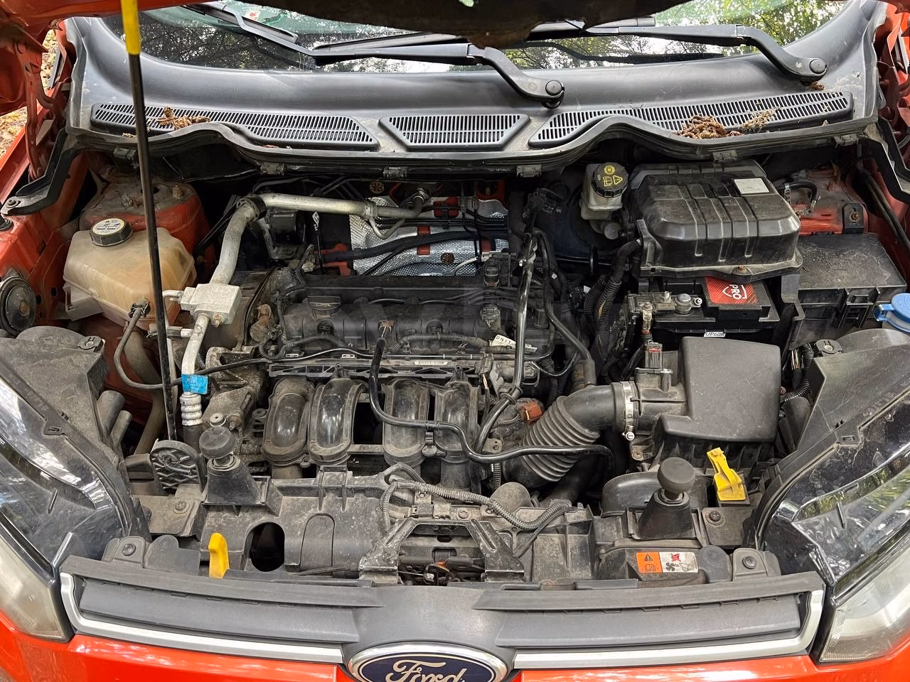 Ford EcoSport фото 17