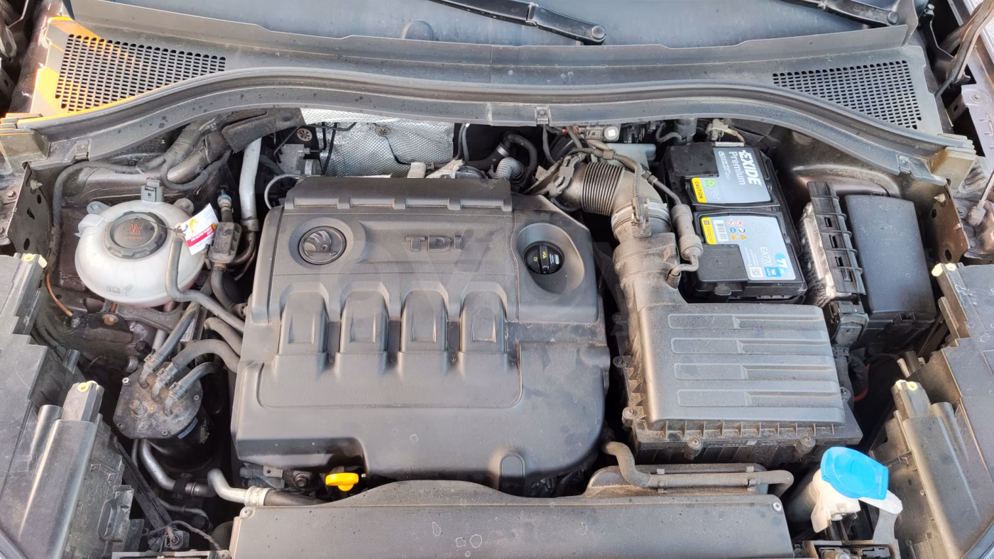 Skoda Kodiaq фото 18