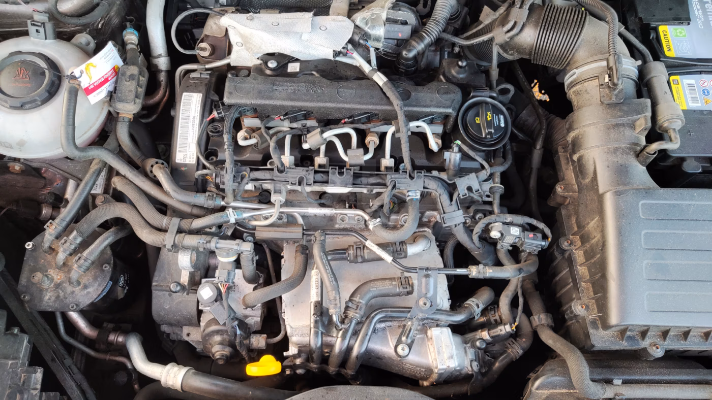 Skoda Kodiaq фото 19