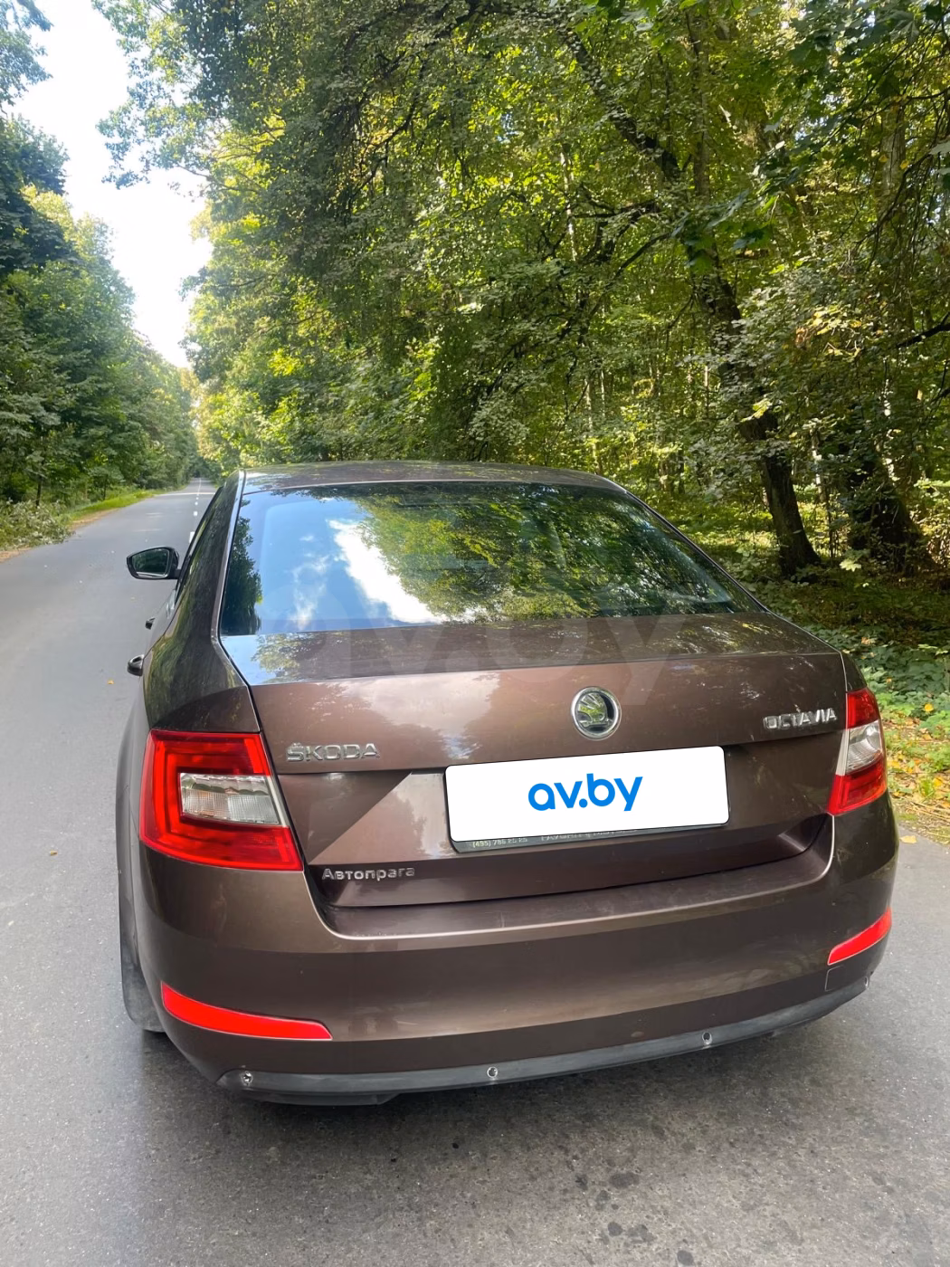 Skoda Octavia фото 5