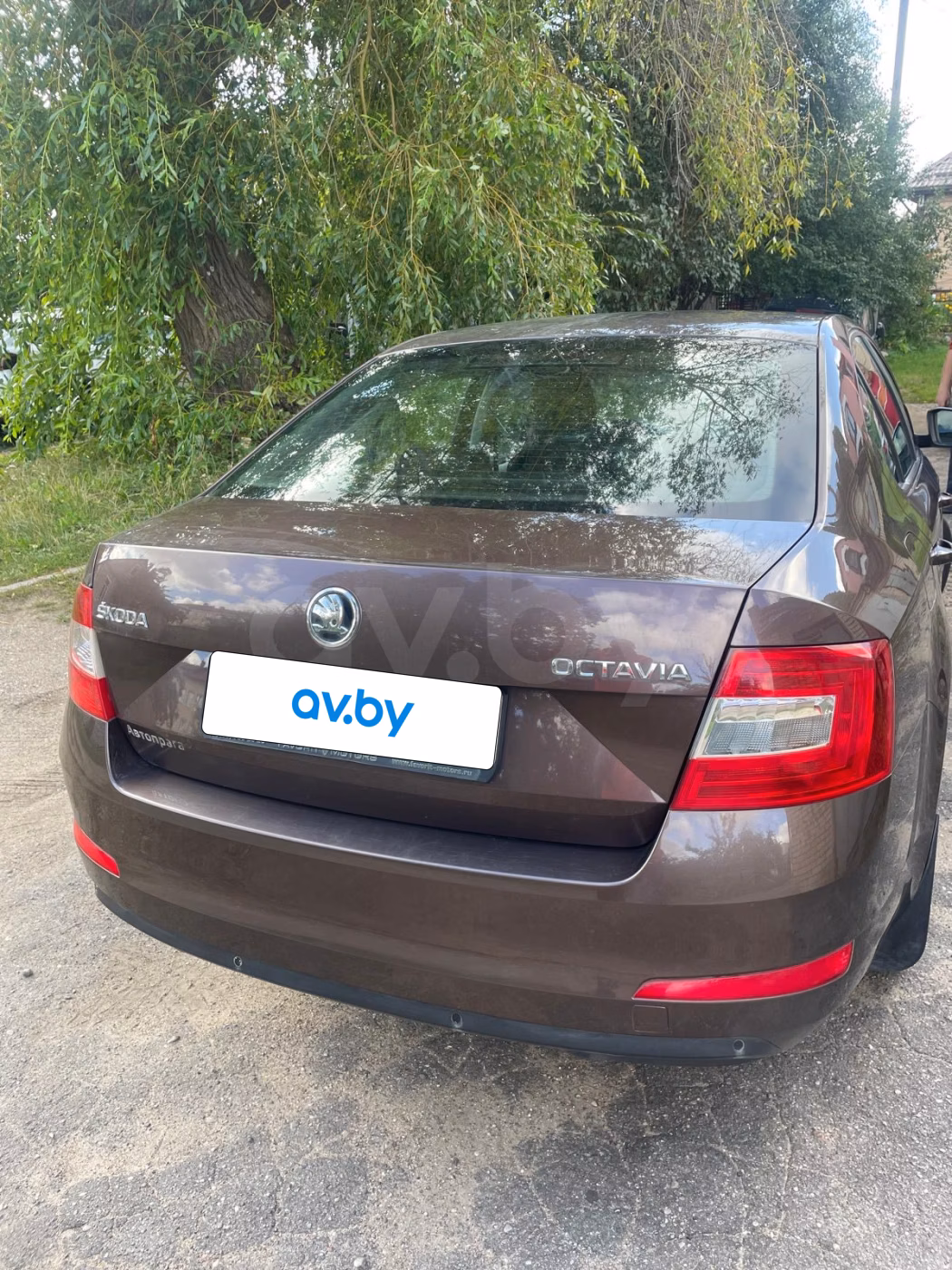 Skoda Octavia фото 4