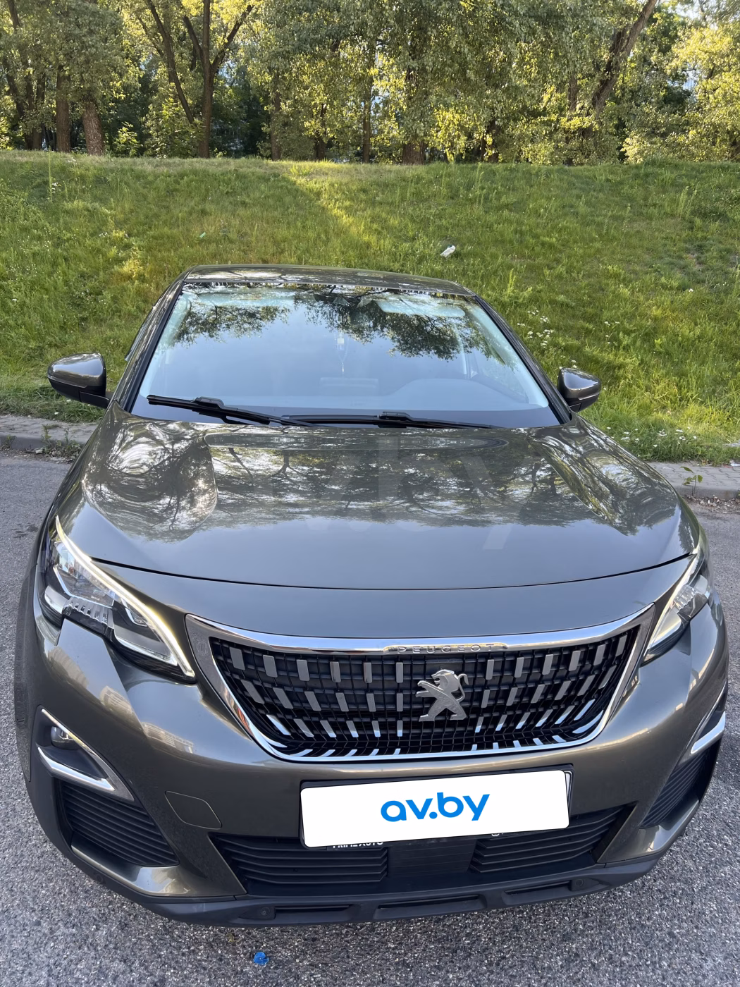 Peugeot 3008 фото 6
