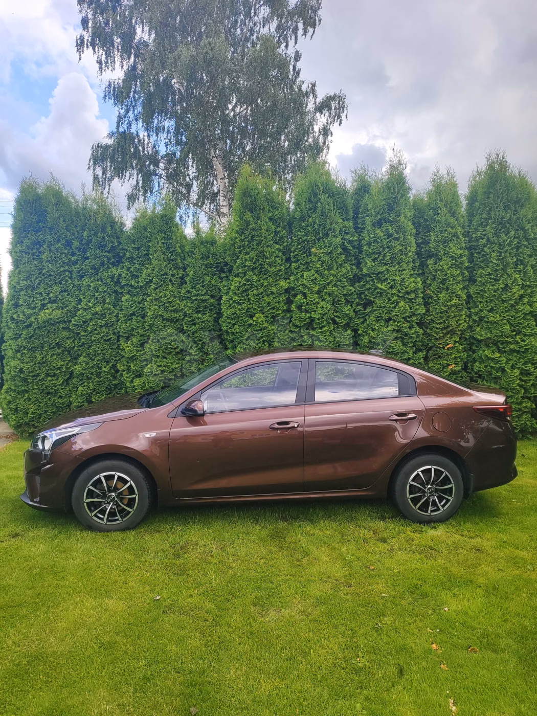 Kia Rio фото 3
