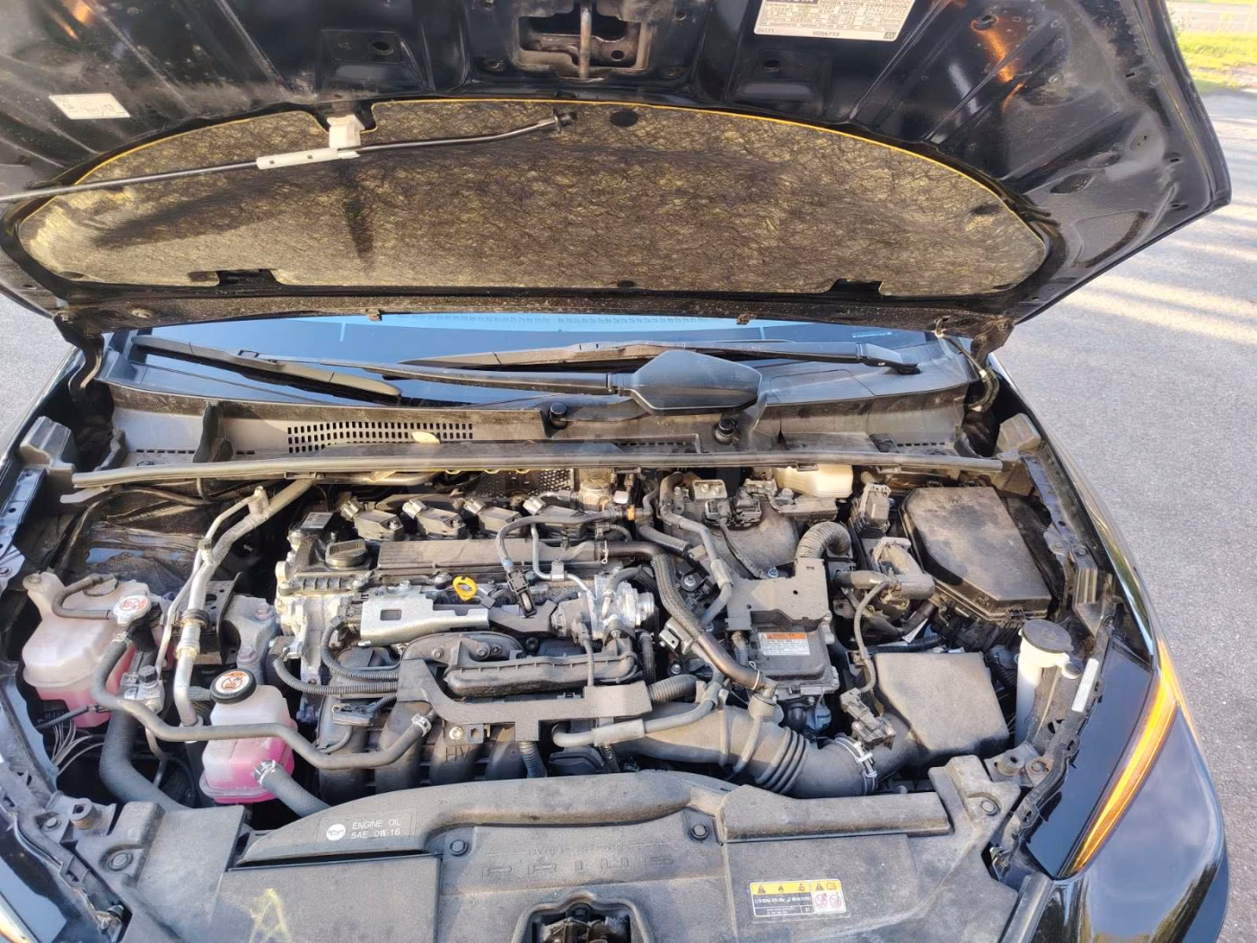 Toyota Prius фото 15