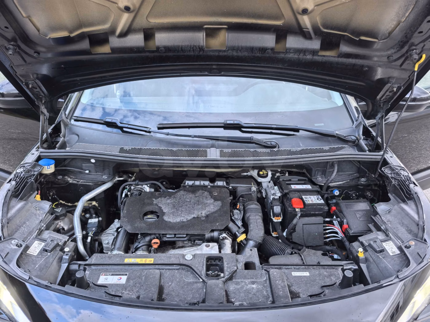 Peugeot 3008 фото 9