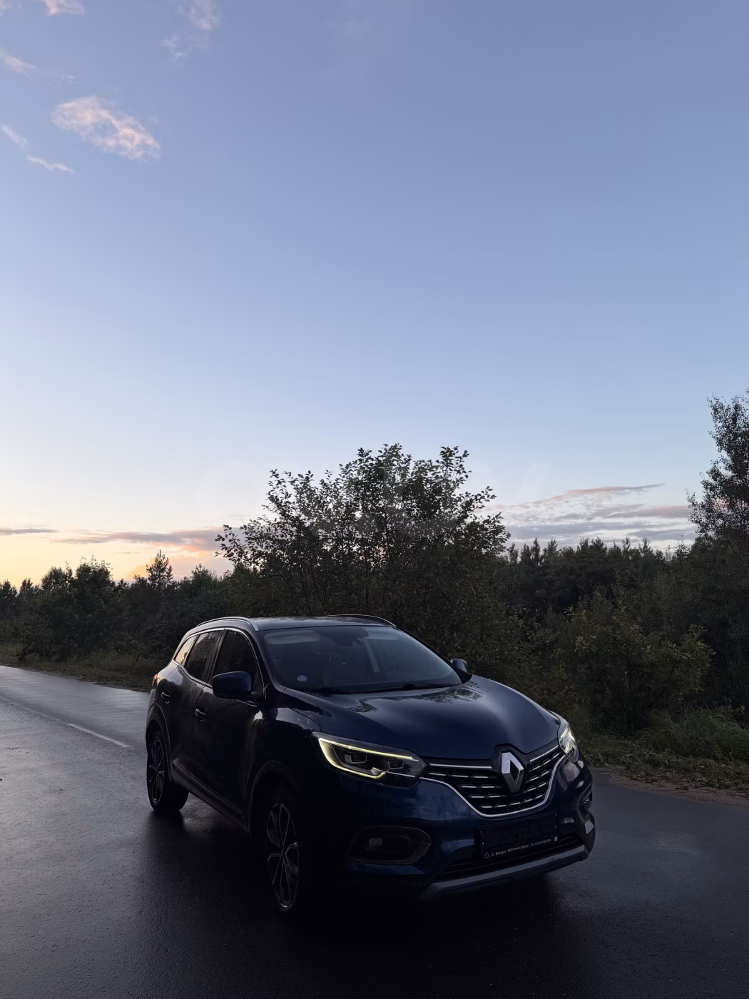 Renault Kadjar фото 4