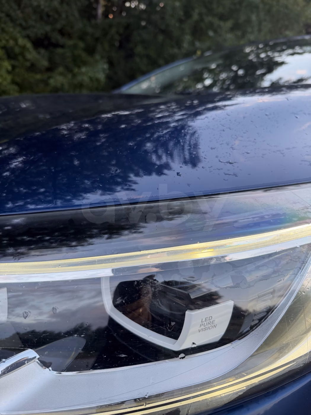 Renault Kadjar фото 23