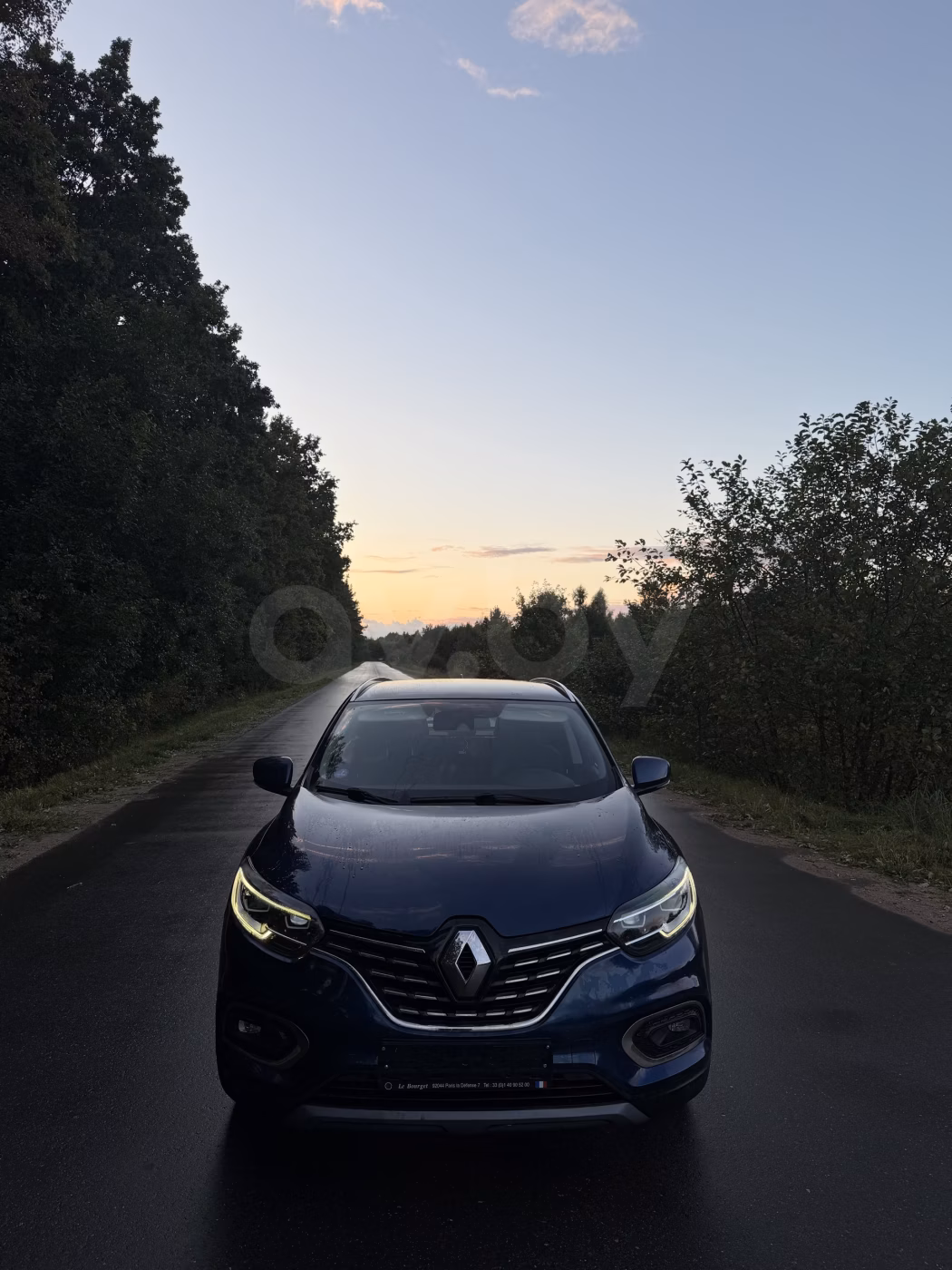 Renault Kadjar фото 6
