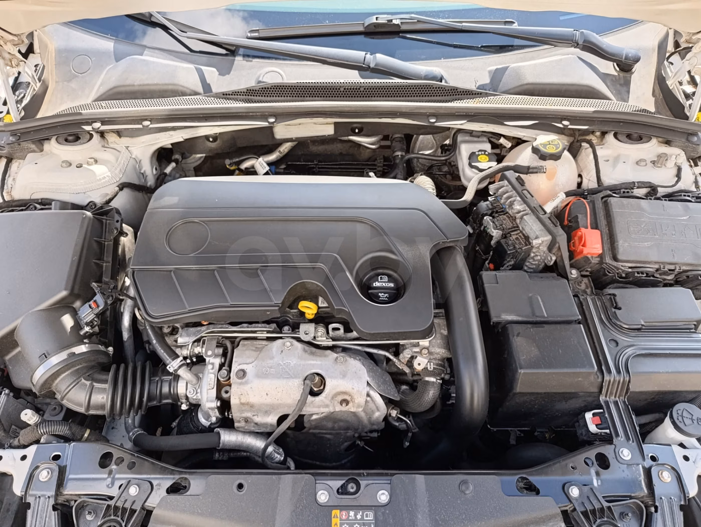 Opel Insignia фото 4