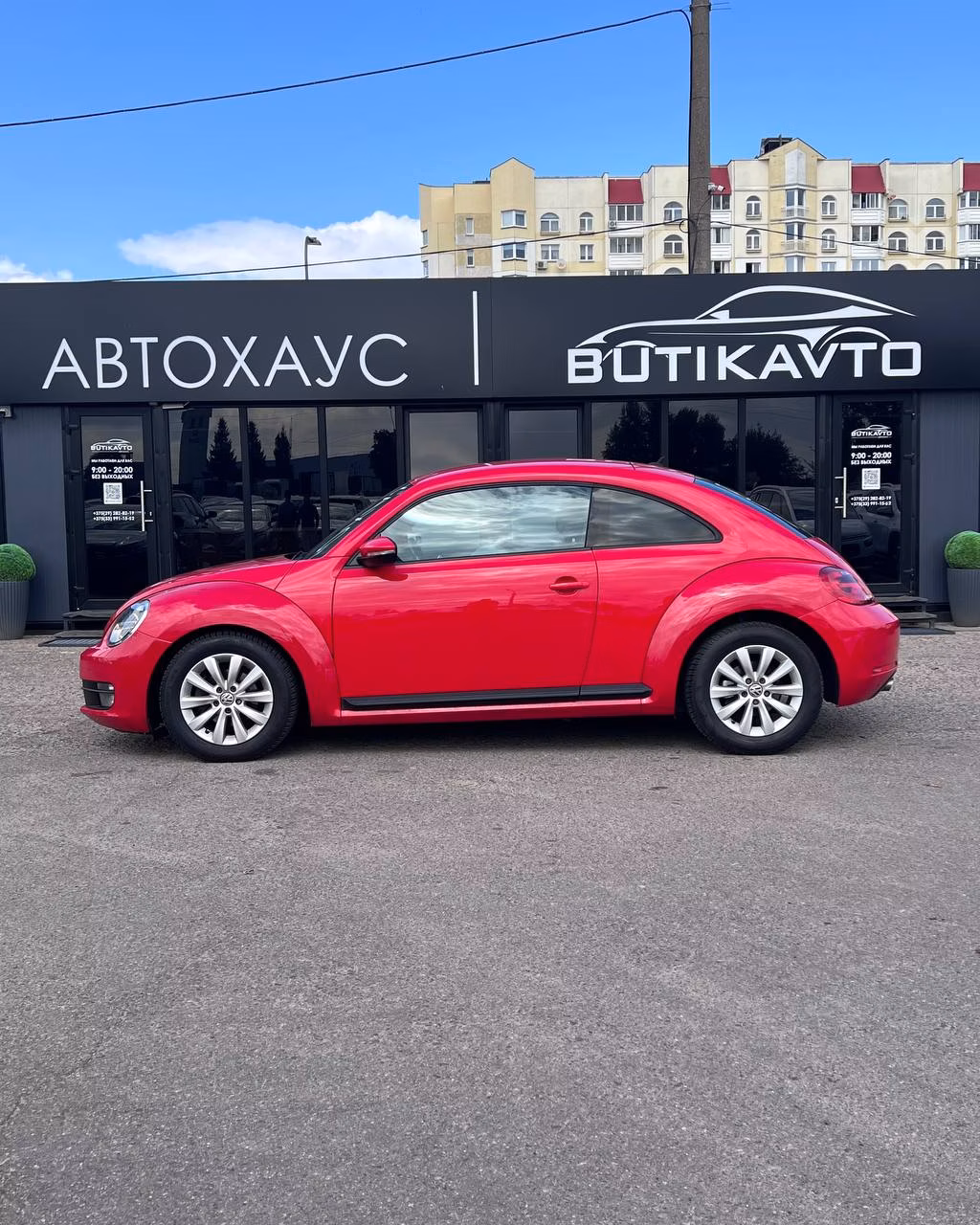 Volkswagen Beetle фото 8