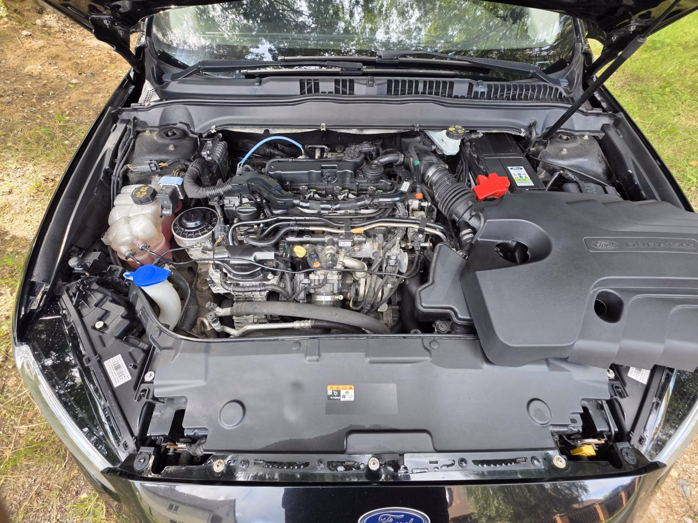 Ford Mondeo фото 17