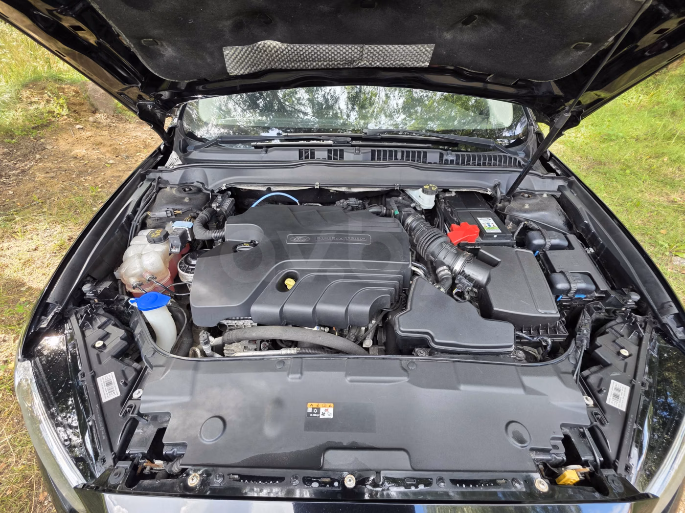 Ford Mondeo фото 18