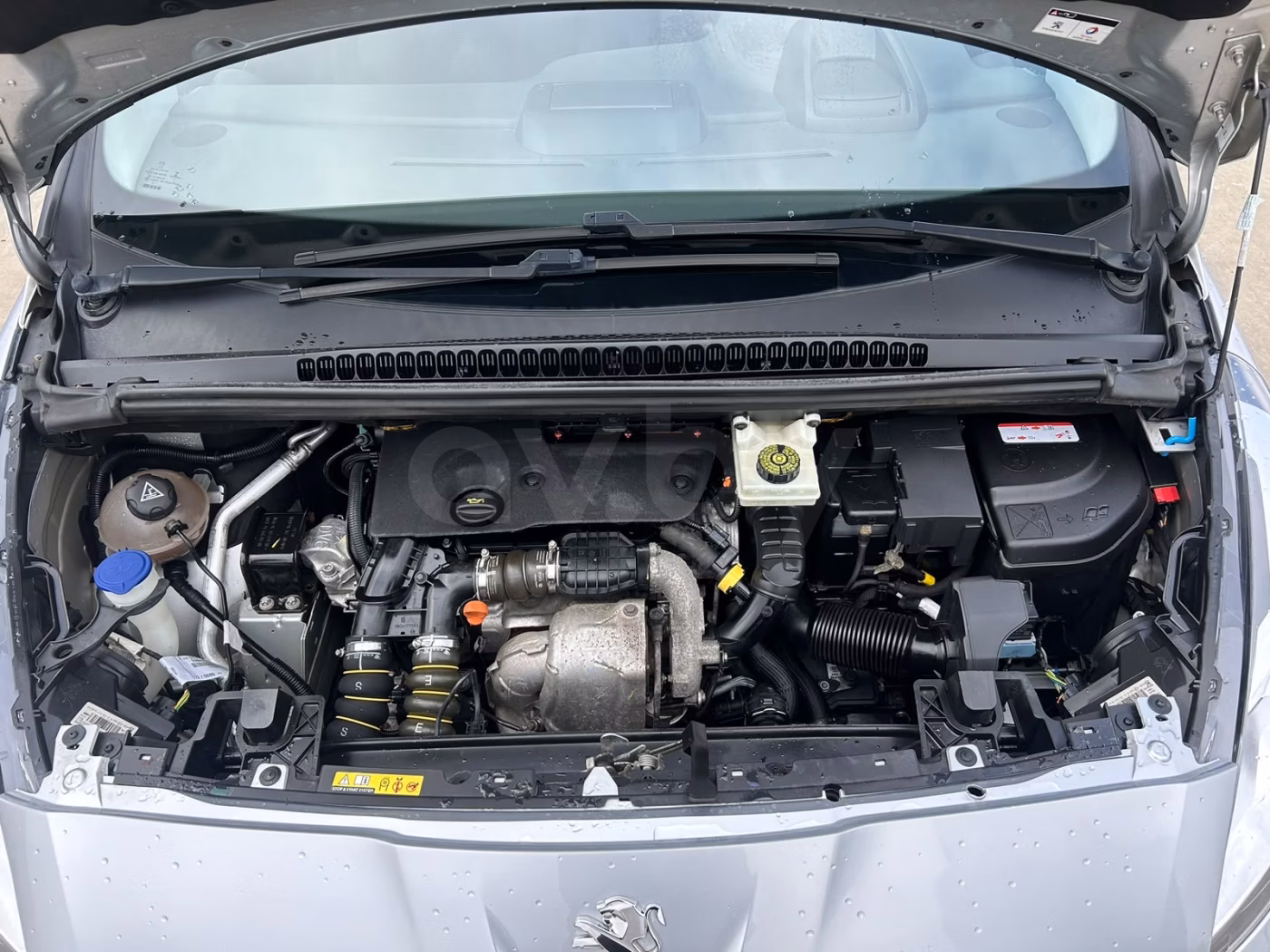 Peugeot 5008 фото 12