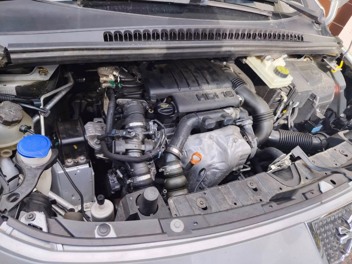 Peugeot 3008 фото 14