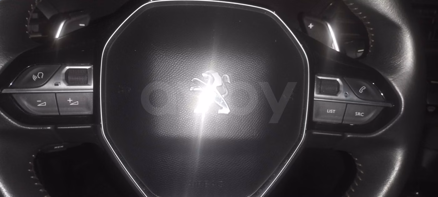 Peugeot 3008 фото 13