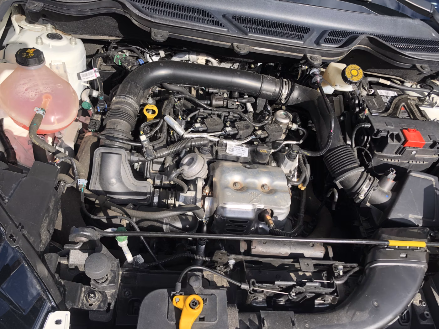 Ford EcoSport фото 15