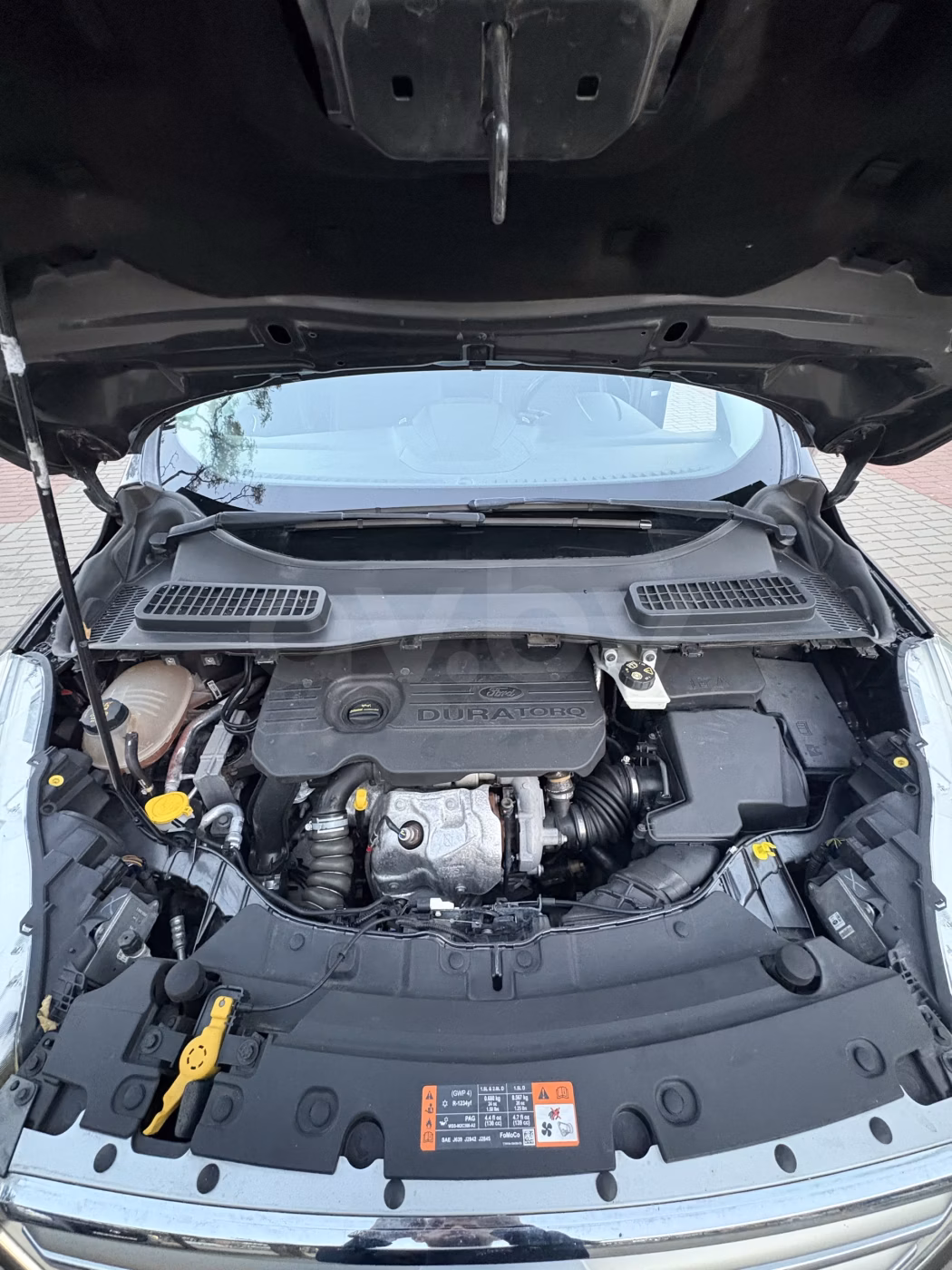 Ford Kuga фото 21