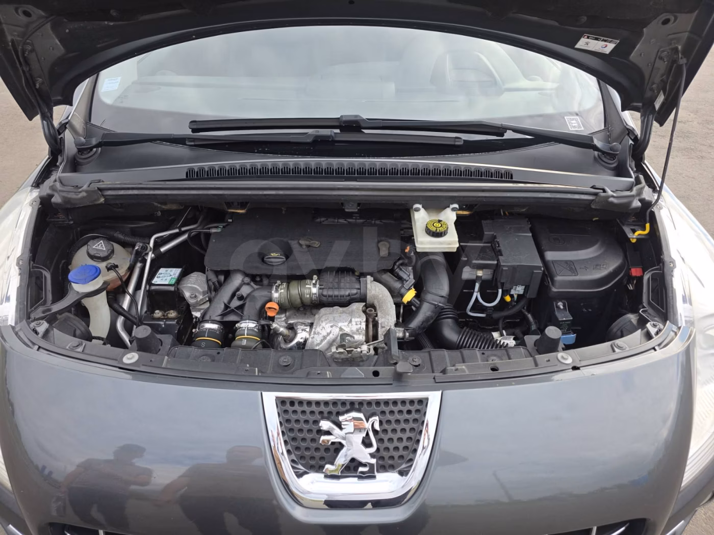 Peugeot 3008 фото 12