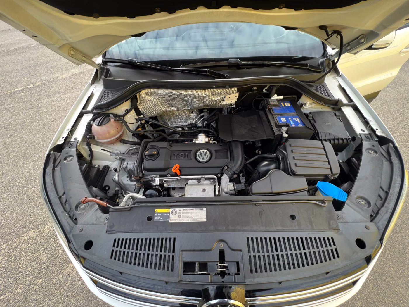 Volkswagen Tiguan фото 22